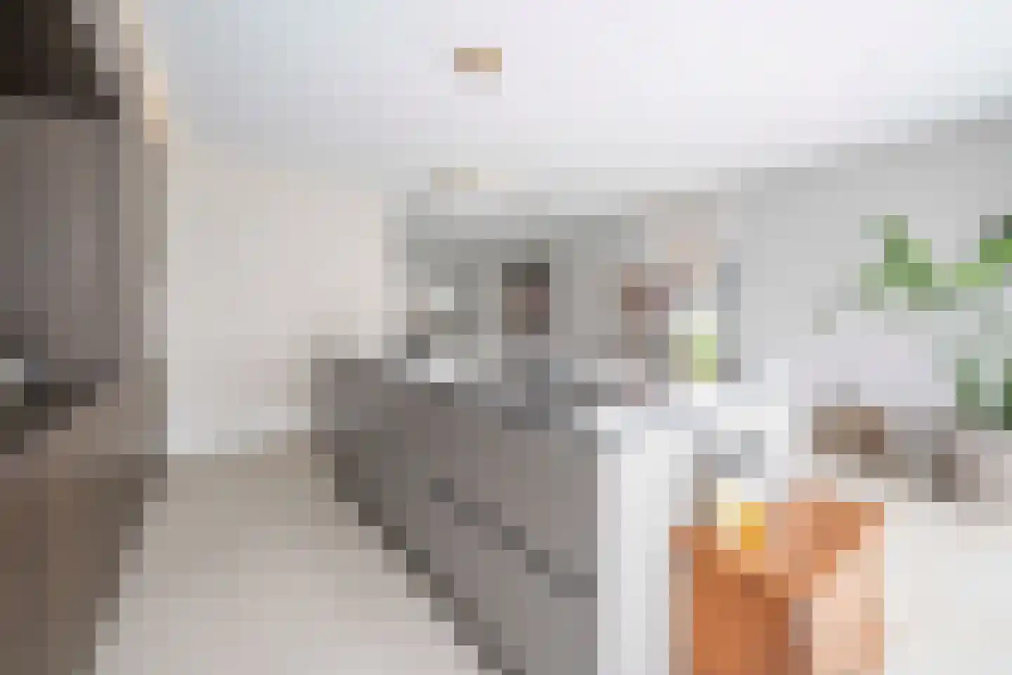 Berkenlaan 52 Bosschenhoofd thumbnail 19
