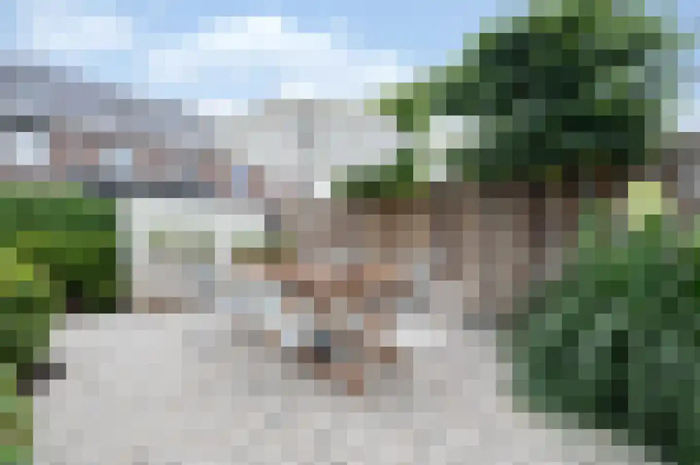 Berkenlaan 52 Bosschenhoofd thumbnail 26