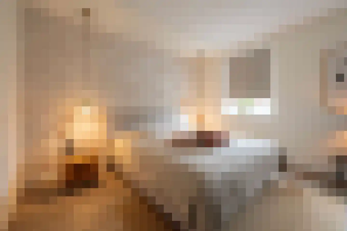 Berkenlaan 52 Bosschenhoofd thumbnail 30
