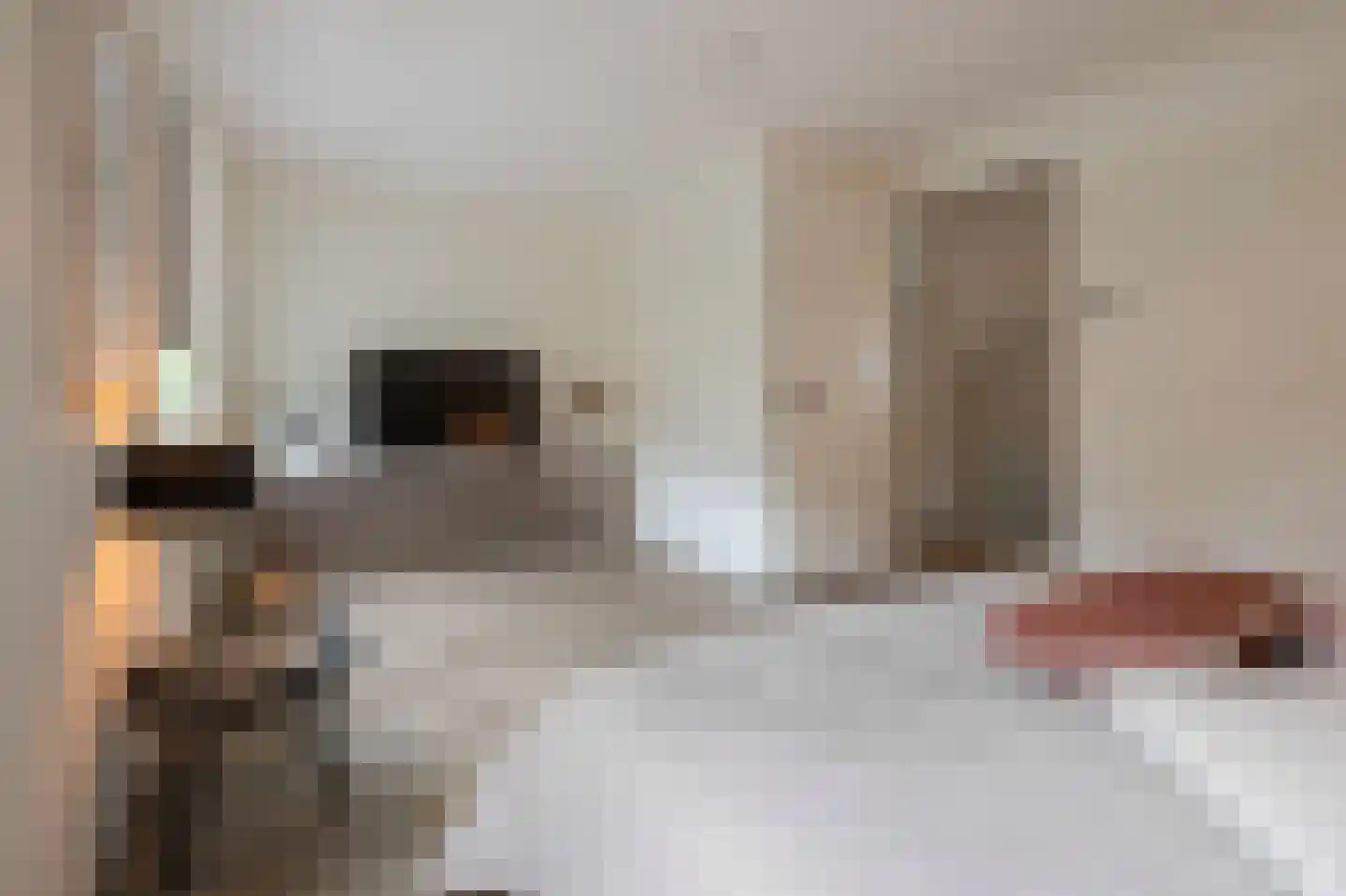 Berkenlaan 52 Bosschenhoofd thumbnail 31