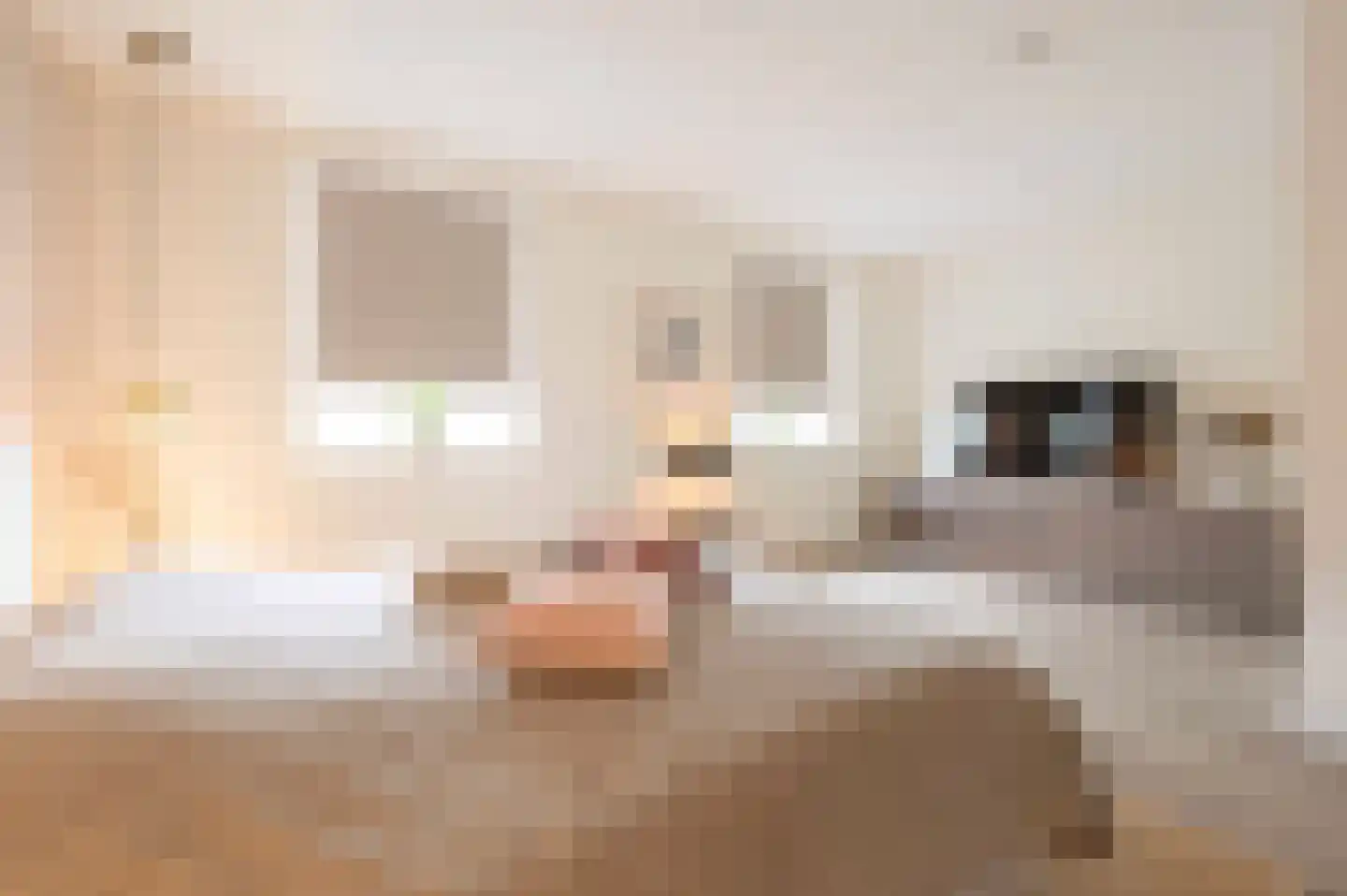 Berkenlaan 52 Bosschenhoofd thumbnail 32