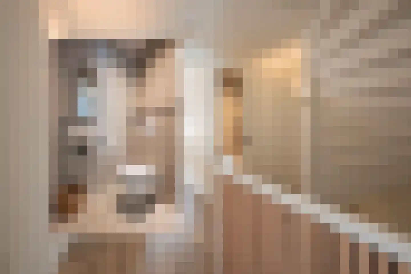 Berkenlaan 52 Bosschenhoofd thumbnail 34