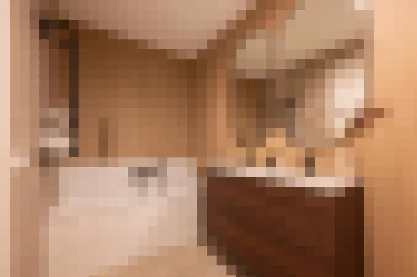 Berkenlaan 52 Bosschenhoofd thumbnail 36