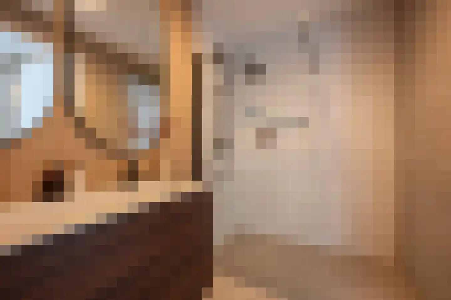Berkenlaan 52 Bosschenhoofd thumbnail 37