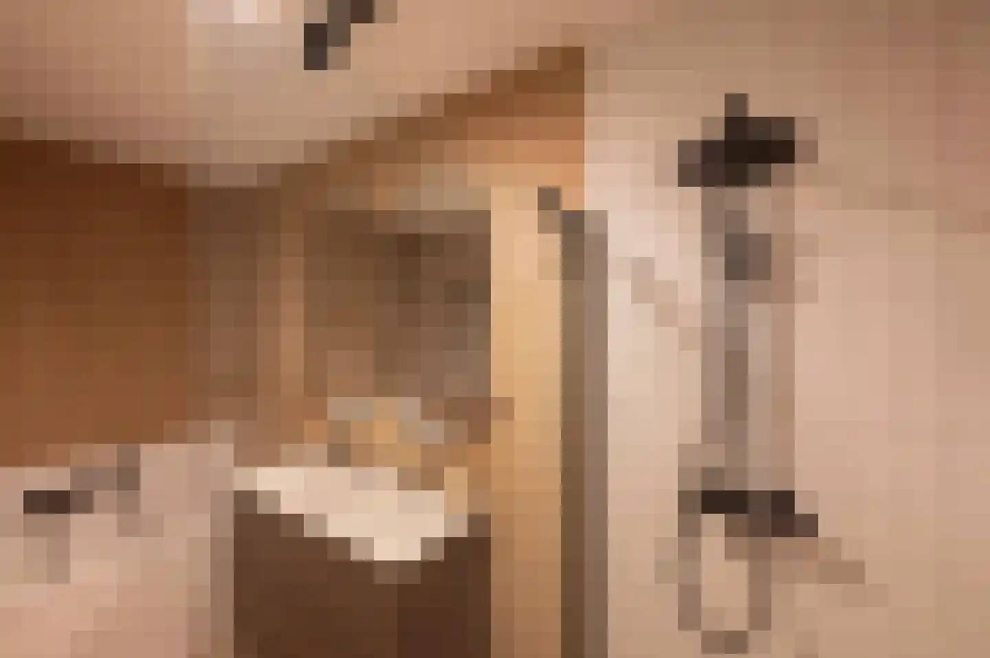 Berkenlaan 52 Bosschenhoofd thumbnail 38