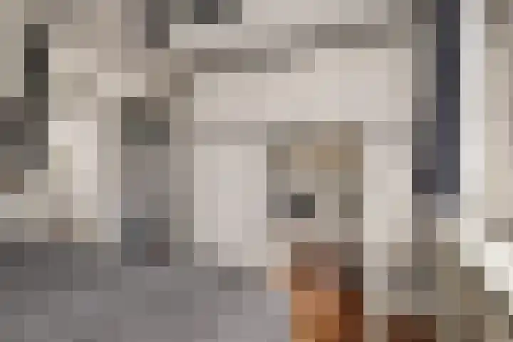 Berkenlaan 54 Harmelen thumbnail 13