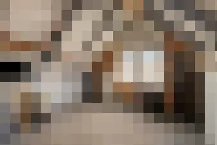 Berkenlaan 54 Harmelen thumbnail 22