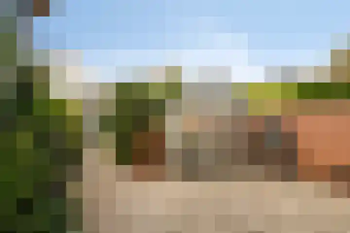 Berkenlaan 54 Harmelen thumbnail 27