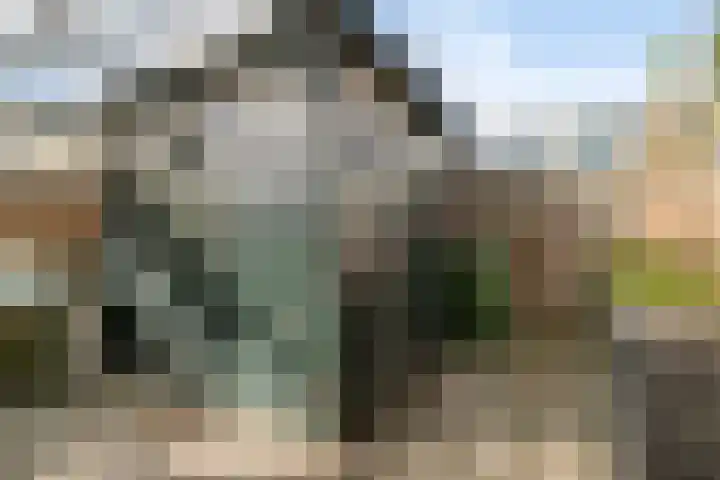 Berkenlaan 54 Harmelen thumbnail 31