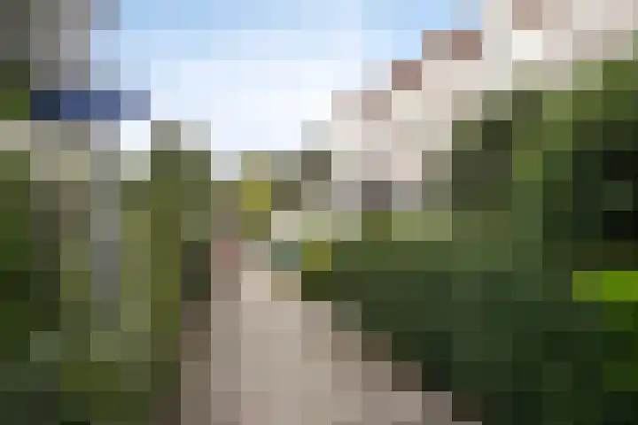 Berkenlaan 54 Harmelen thumbnail 35