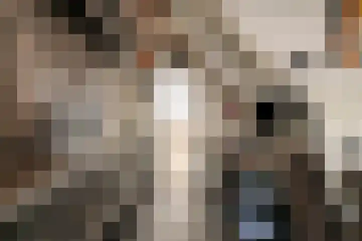 Berkenlaan 54 Harmelen thumbnail 6