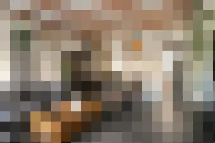 Berkenlaan 54 Harmelen thumbnail 8
