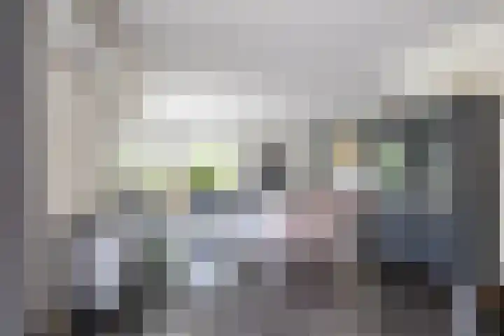 Berkenlaan 57 Peize thumbnail 11
