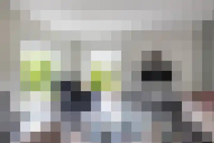 Berkenlaan 57 Peize thumbnail 12