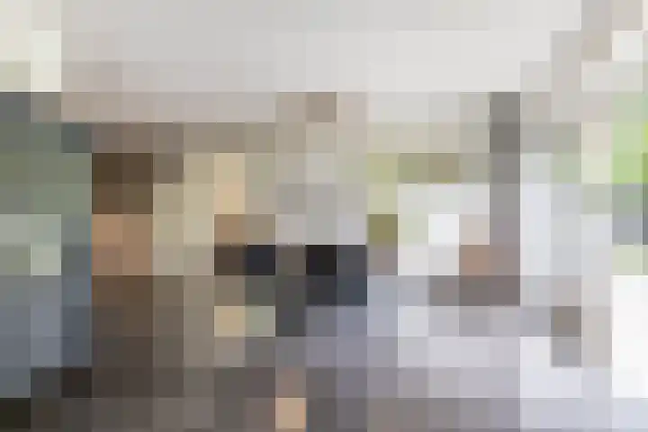 Berkenlaan 57 Peize thumbnail 15