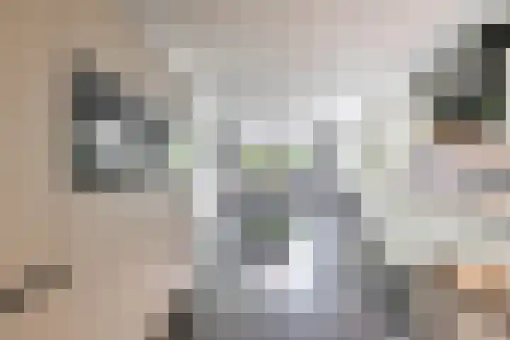 Berkenlaan 57 Peize thumbnail 19