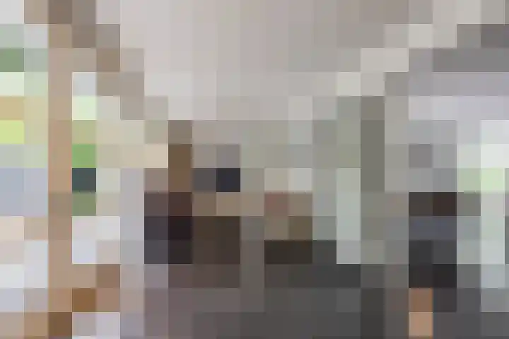 Berkenlaan 57 Peize thumbnail 23