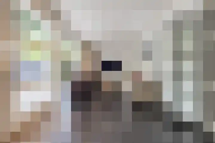 Berkenlaan 57 Peize thumbnail 24
