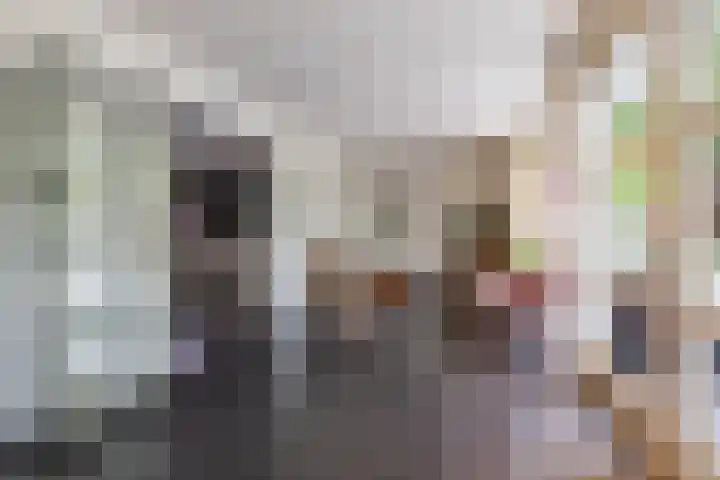 Berkenlaan 57 Peize thumbnail 25