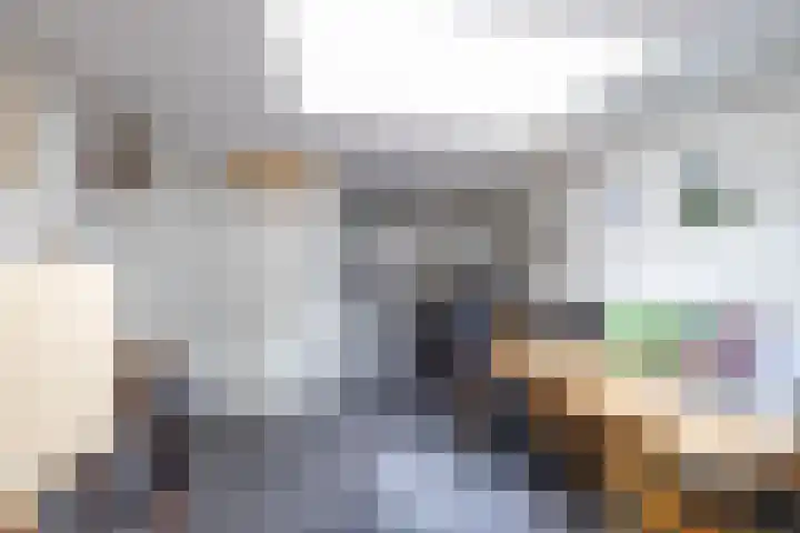 Berkenlaan 57 Peize thumbnail 28