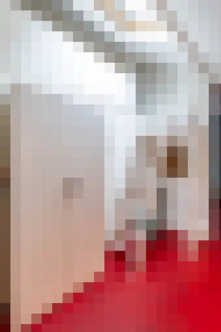 Berkenlaan 57 Peize thumbnail 37