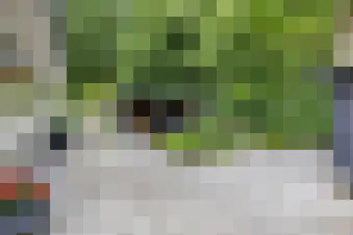 Berkenlaan 57 Peize thumbnail 5