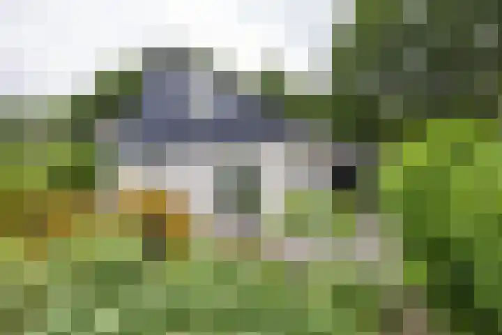 Berkenlaan 57 Peize thumbnail 54