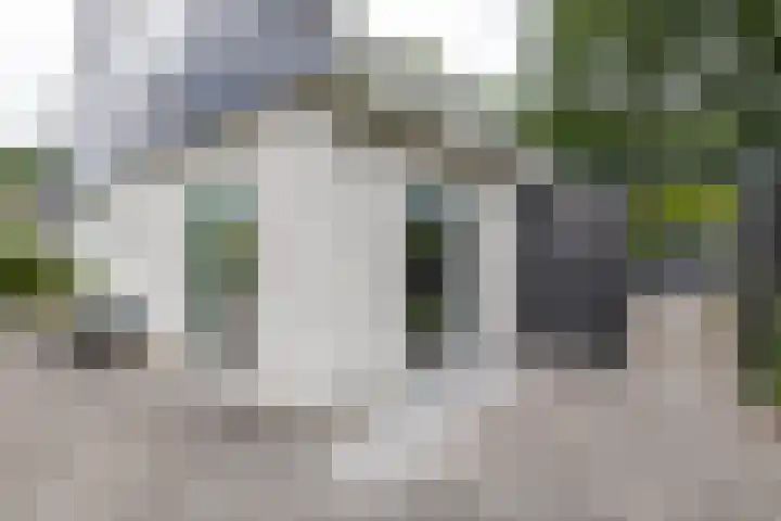 Berkenlaan 57 Peize thumbnail 55