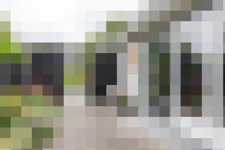 Berkenlaan 57 Peize thumbnail 56