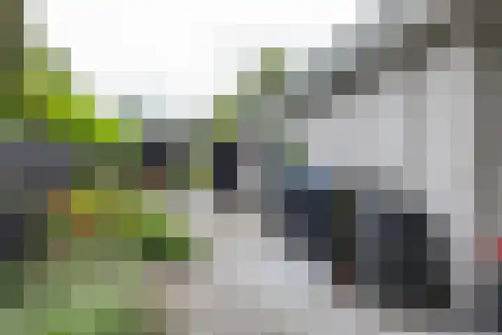 Berkenlaan 57 Peize thumbnail 57