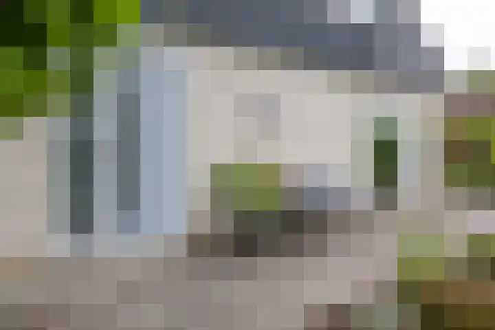 Berkenlaan 57 Peize thumbnail 6