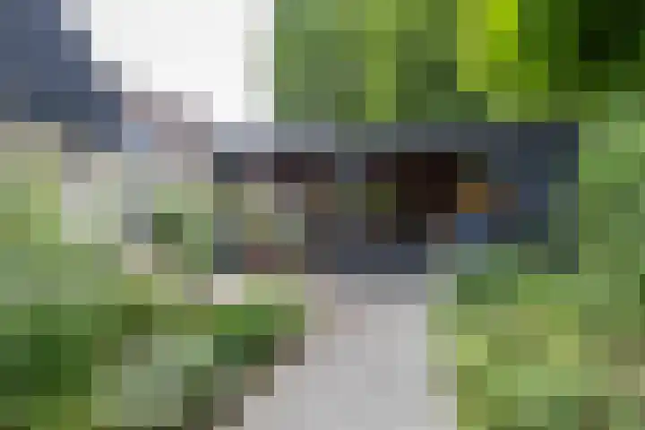 Berkenlaan 57 Peize thumbnail 60