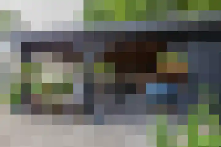 Berkenlaan 57 Peize thumbnail 61