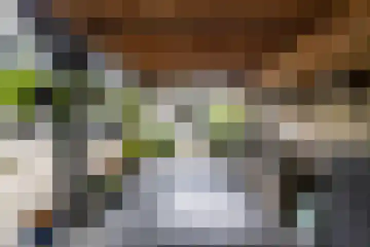 Berkenlaan 57 Peize thumbnail 62