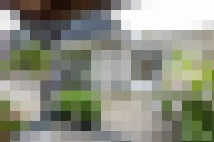Berkenlaan 57 Peize thumbnail 63