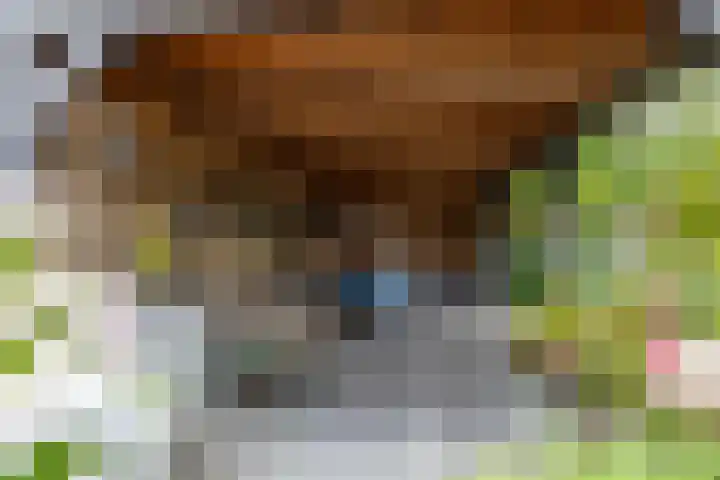 Berkenlaan 57 Peize thumbnail 64