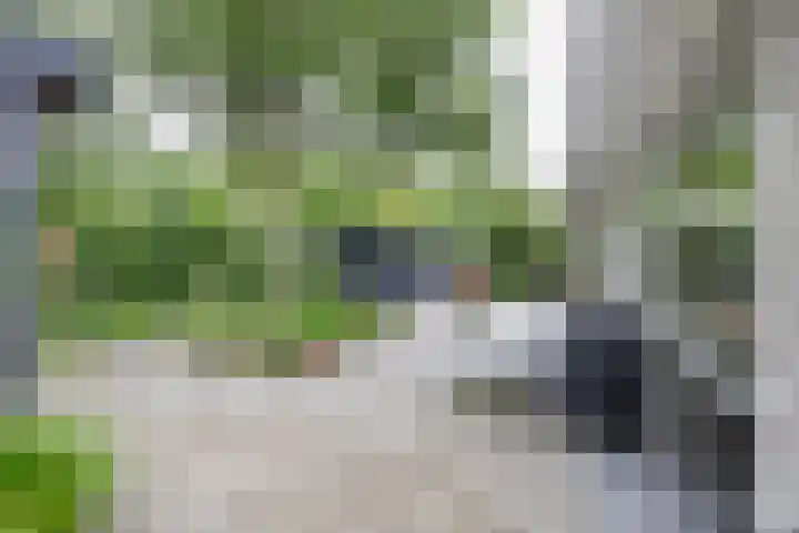 Berkenlaan 57 Peize thumbnail 65