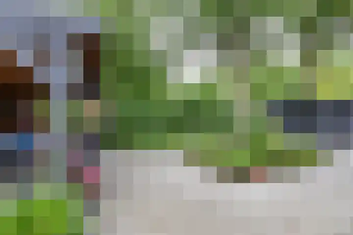 Berkenlaan 57 Peize thumbnail 66