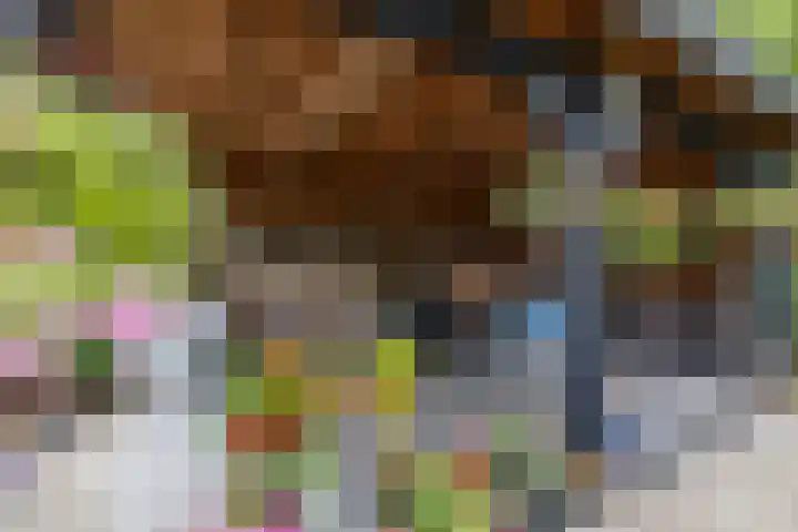 Berkenlaan 57 Peize thumbnail 67