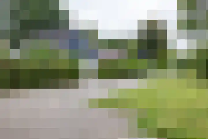 Berkenlaan 57 Peize thumbnail 68