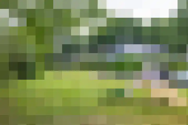 Berkenlaan 57 Peize thumbnail 69
