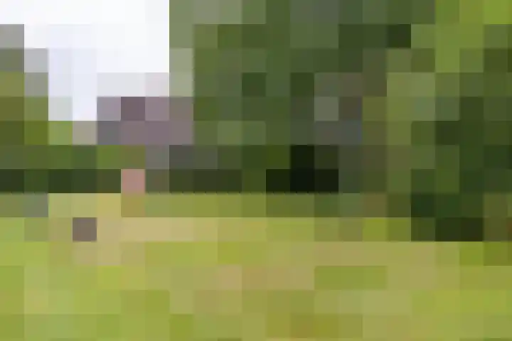 Berkenlaan 57 Peize thumbnail 70