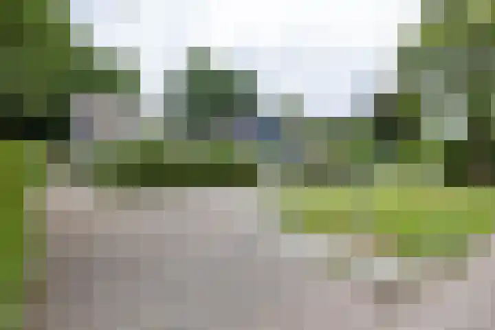 Berkenlaan 57 Peize thumbnail 71