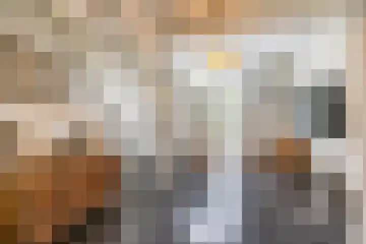 Berkenlaan 57 Peize thumbnail 8