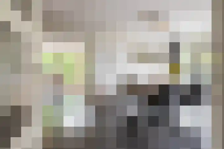 Berkenlaan 57 Peize thumbnail 9