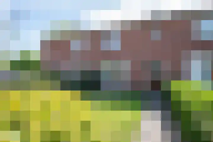 Berkenlaan 58 Haren Gn