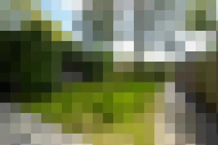 Berkenlaan 58 Haren Gn thumbnail 33