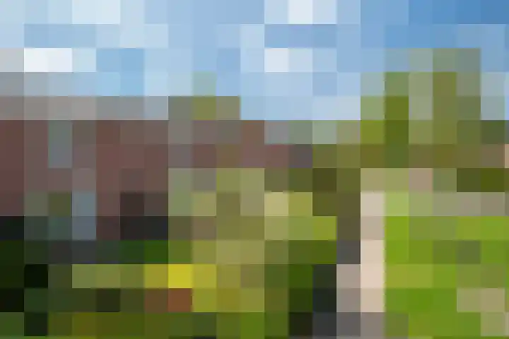 Berkenlaan 58 Haren Gn thumbnail 6