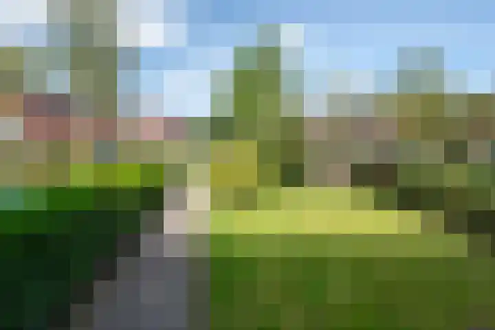 Berkenlaan 58 Haren Gn thumbnail 9