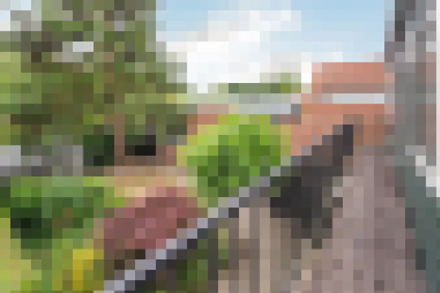 Berkenlaan 6 a Aalsmeer thumbnail 20